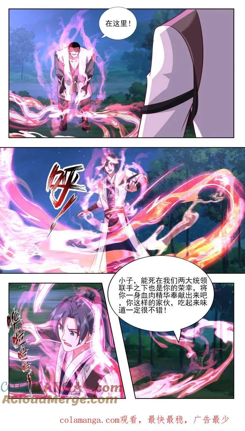 大决战篇-境界跌落又如何？ 第13页