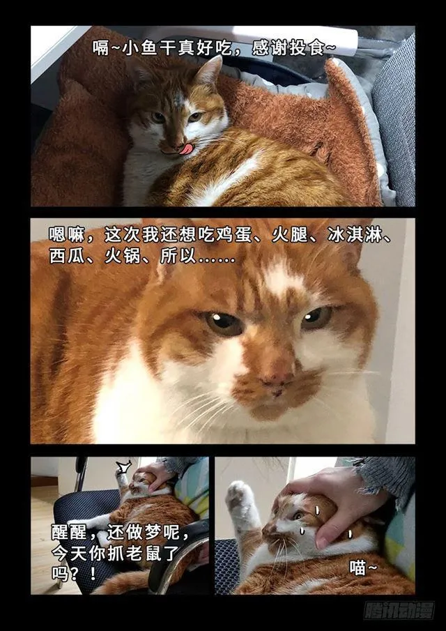 第一九五话·多管闲事 第16页