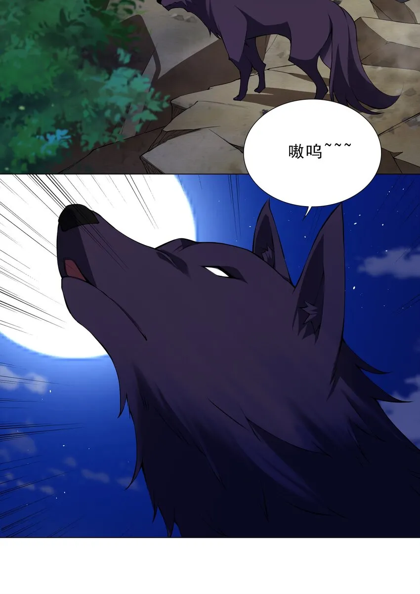 038 风狼王出现！ 第13页