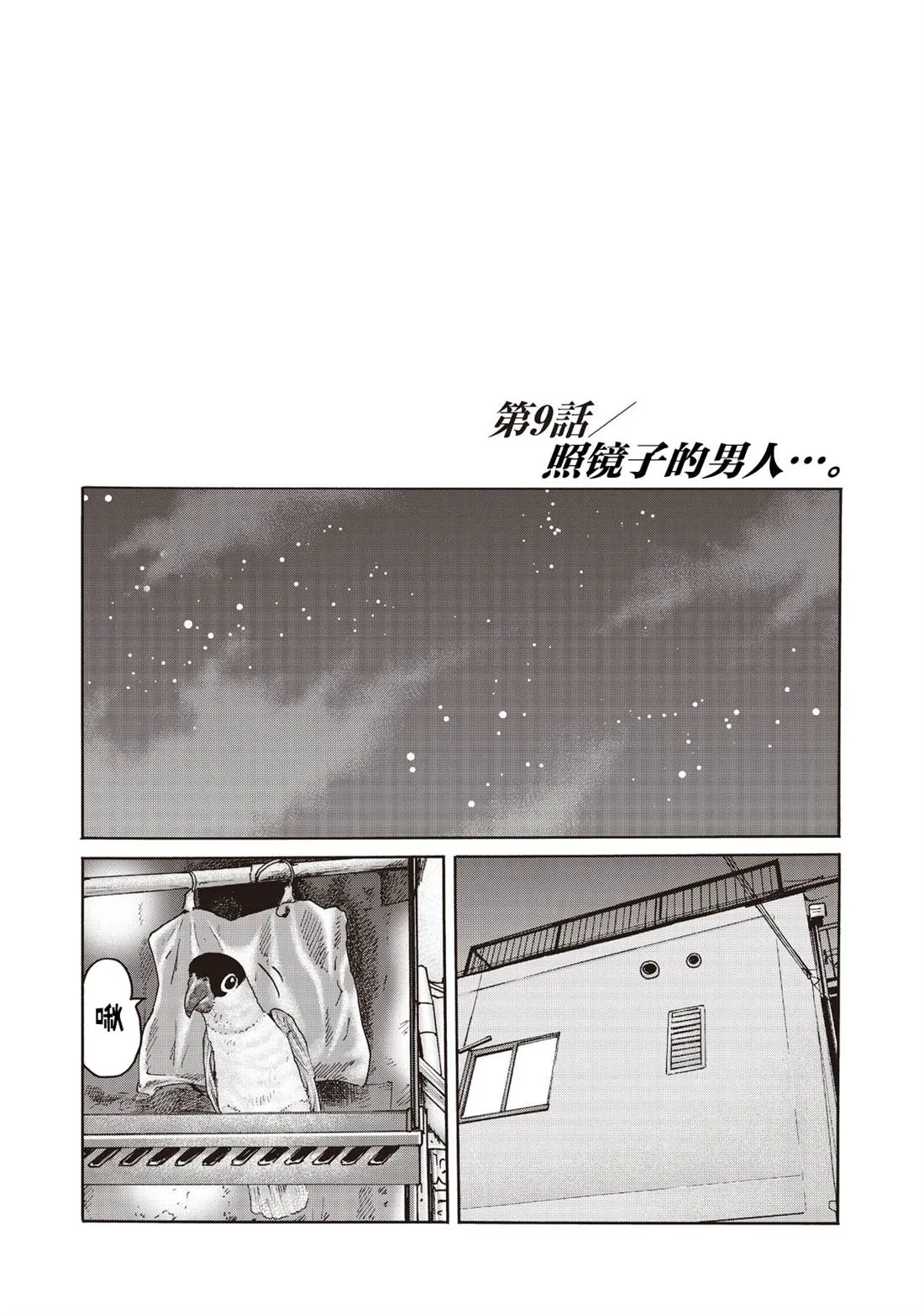 番外（9） 第1页