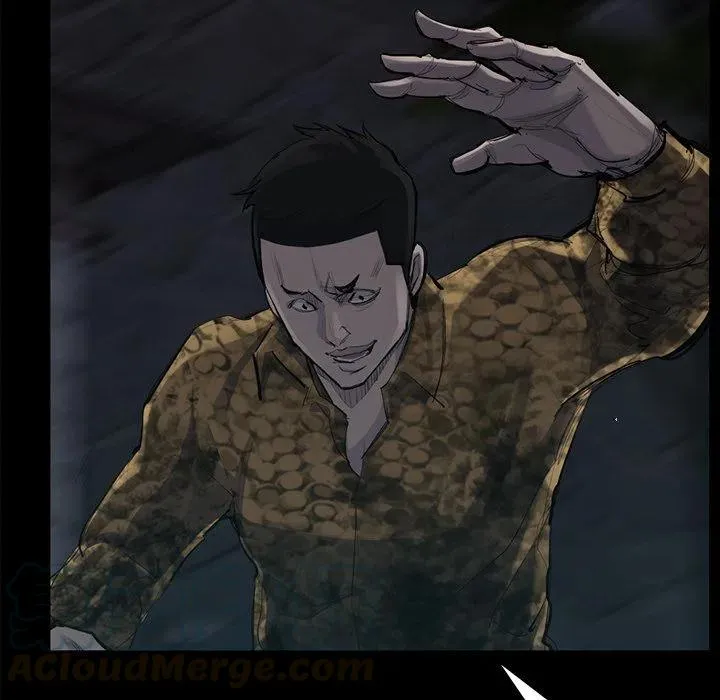 50 第61页