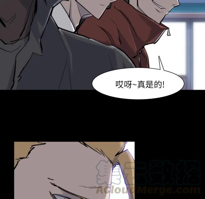 13 第49页