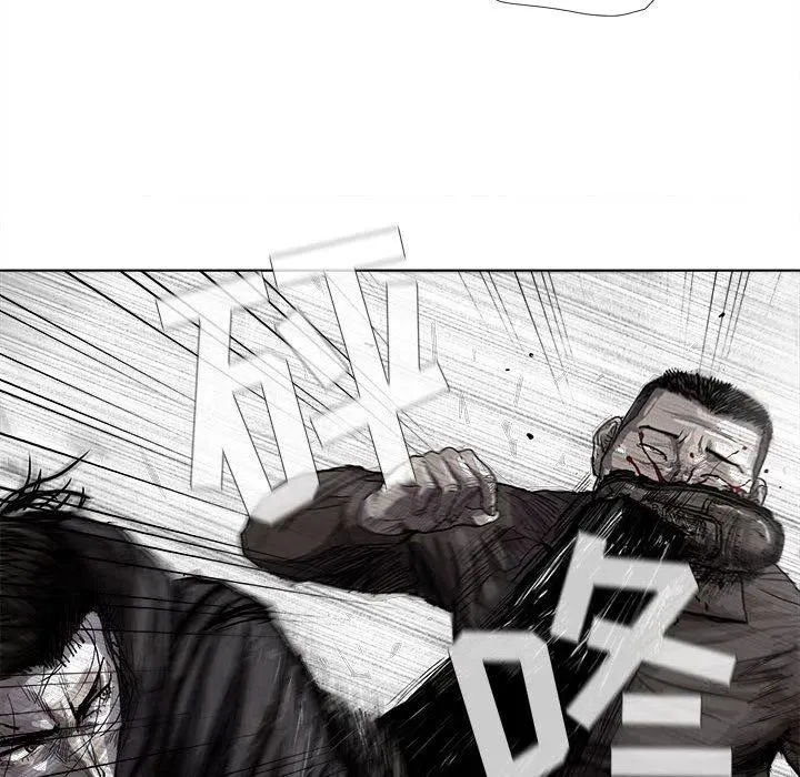 21 第44页