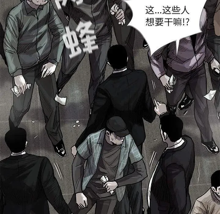 26 第5页