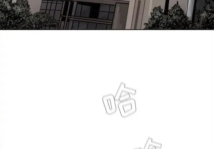 27 第3页