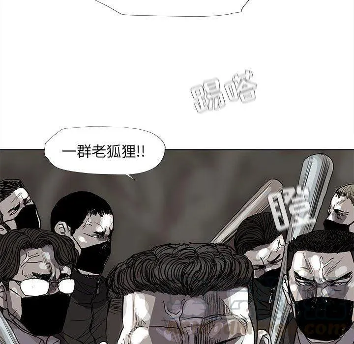 61 第64页