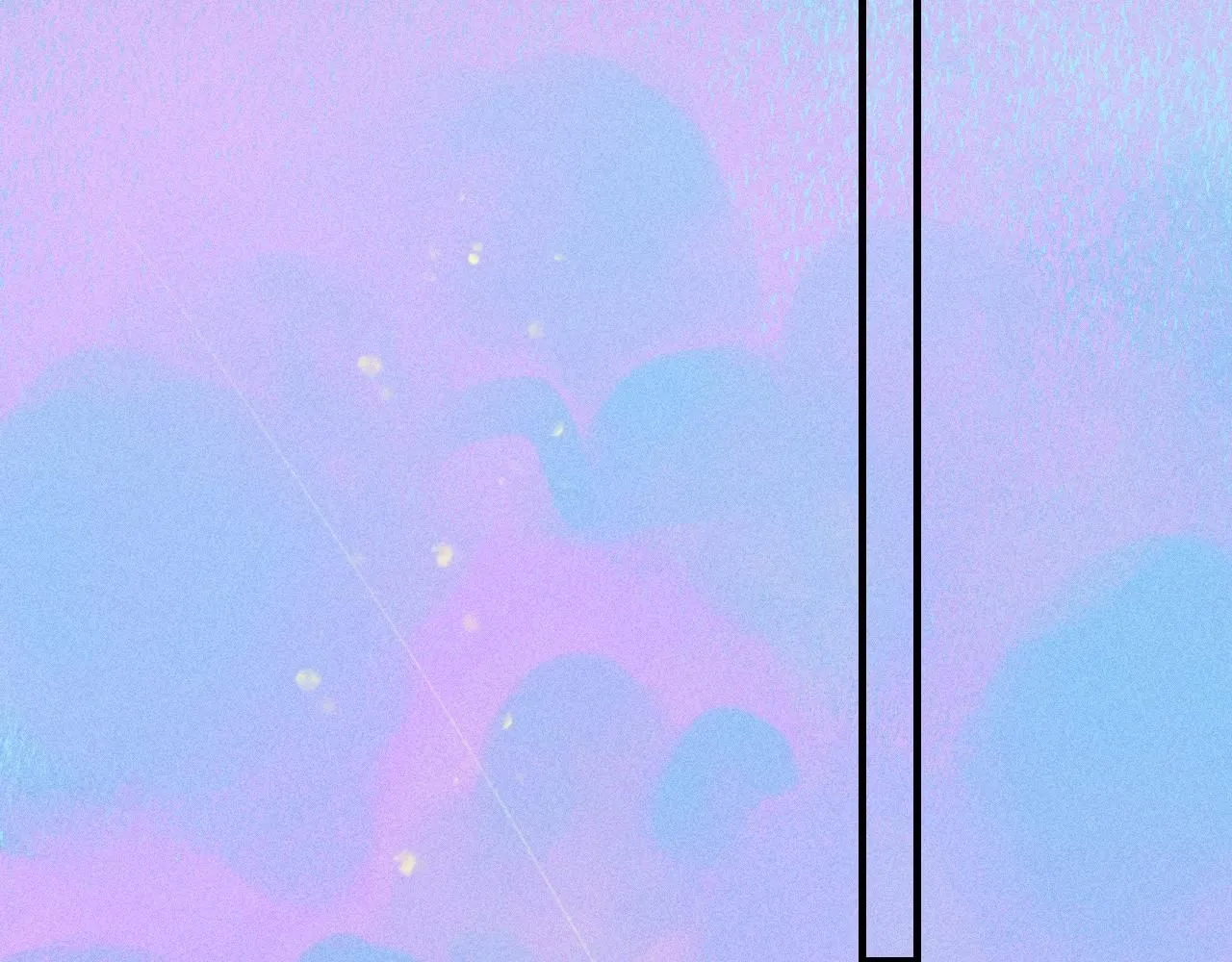 51 第69页