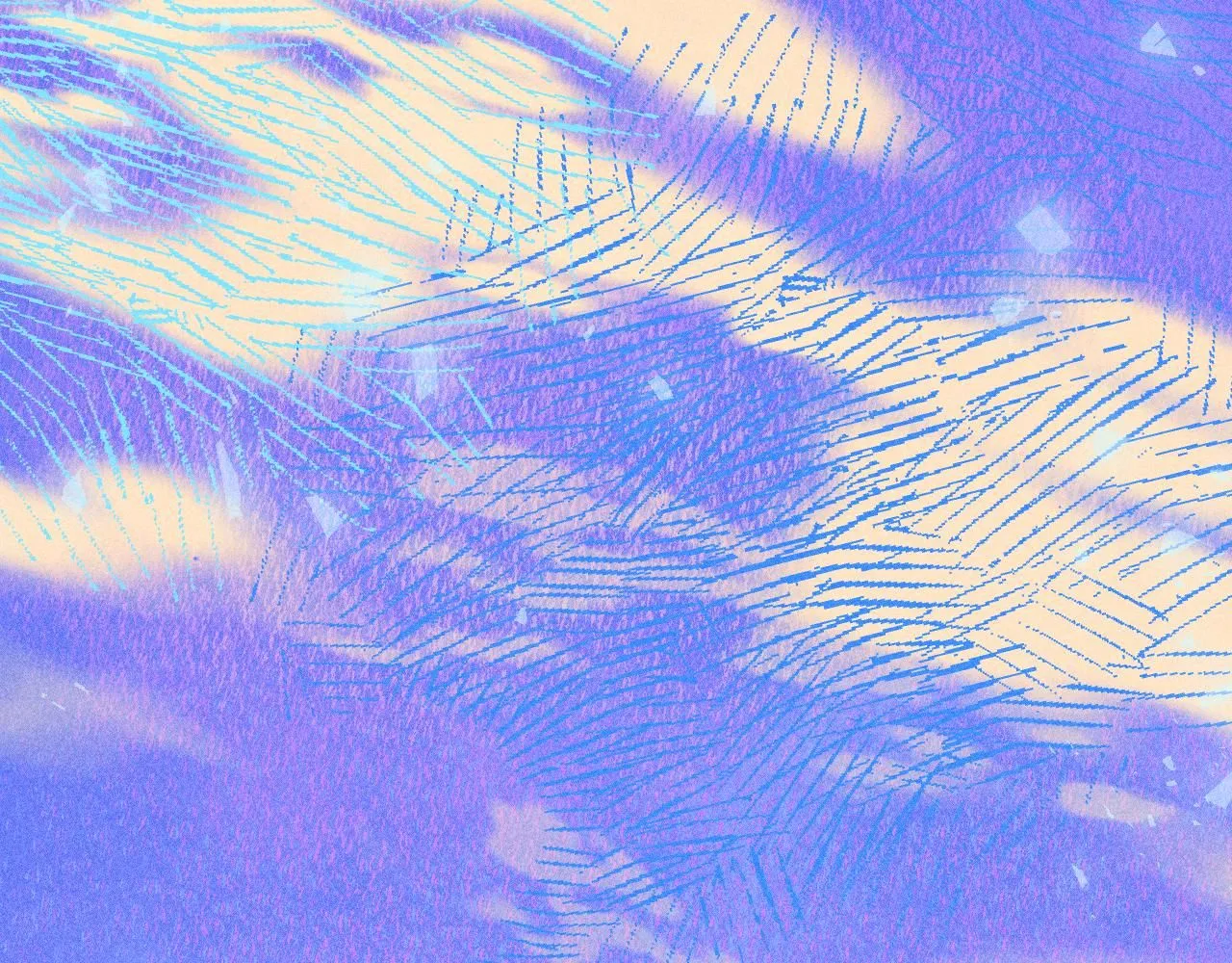 51 第125页