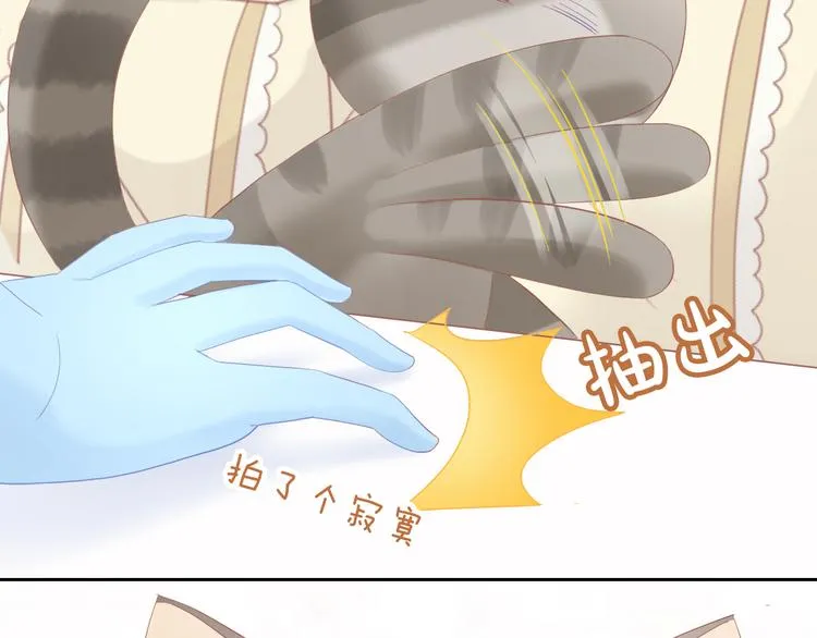 第200话 猫爪之下 第33页