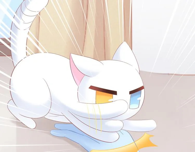 第200话 猫爪之下 第37页