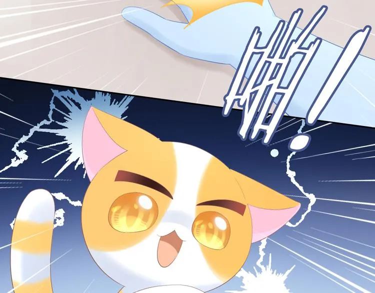 第200话 猫爪之下 第38页