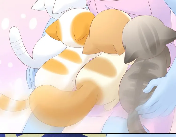第200话 猫爪之下 第64页