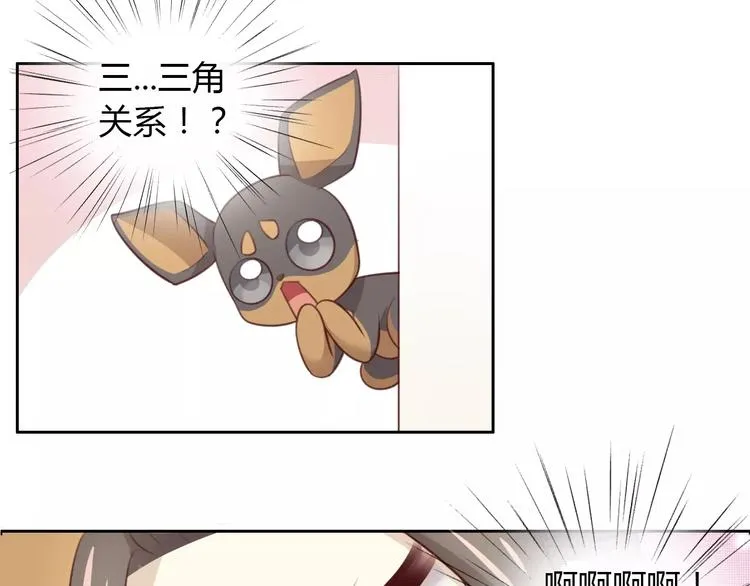 第31话 再见啦疾风 第9页