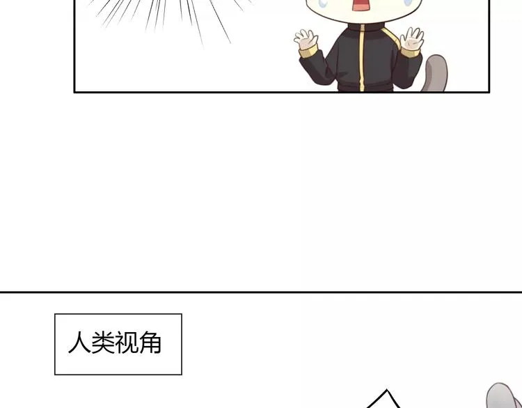 第31话 再见啦疾风 第26页