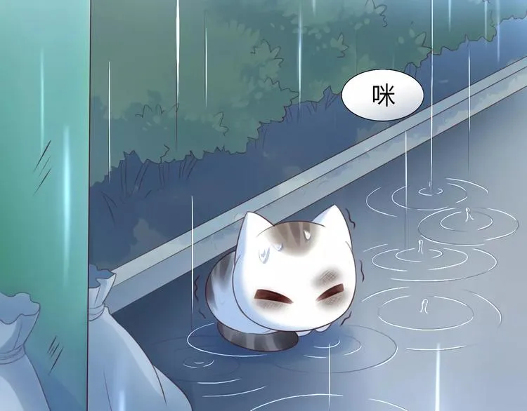 第40话 小可怜 第14页
