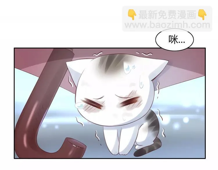 第40话 小可怜 第36页