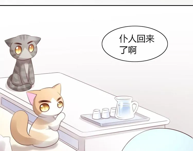 第40话 小可怜 第51页