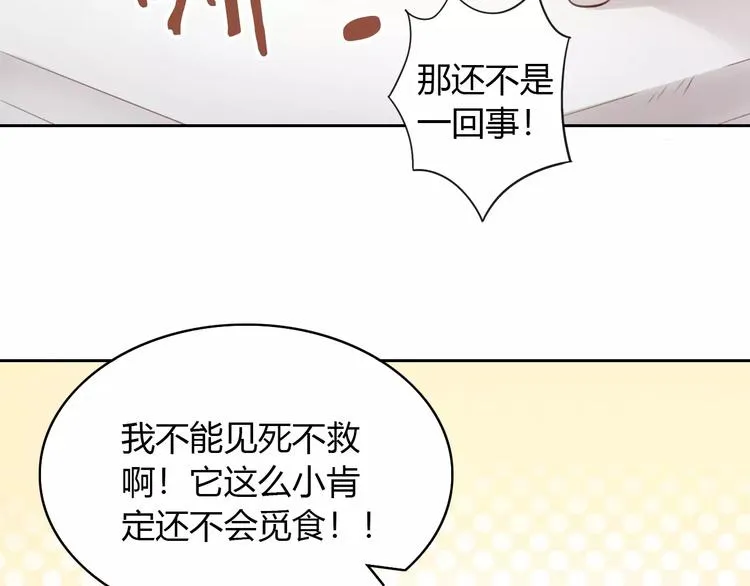 第40话 小可怜 第68页