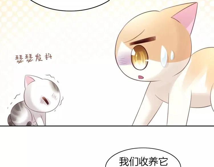 第40话 小可怜 第69页