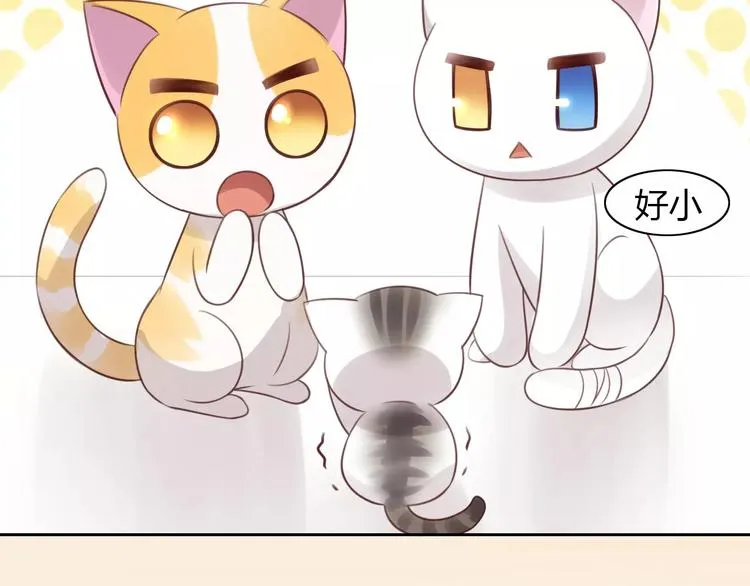 第40话 小可怜 第78页