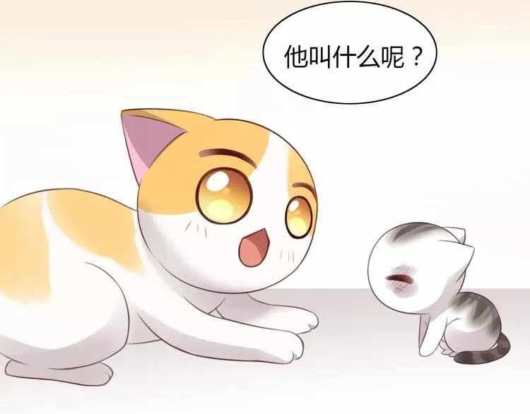 第40话 小可怜 第79页