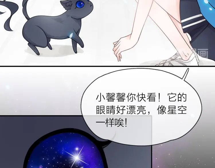 第3话 变成猫？！ 第87页