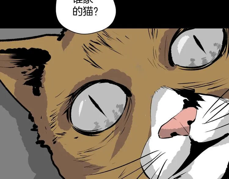 第6话 猫的报恩（1） 第7页