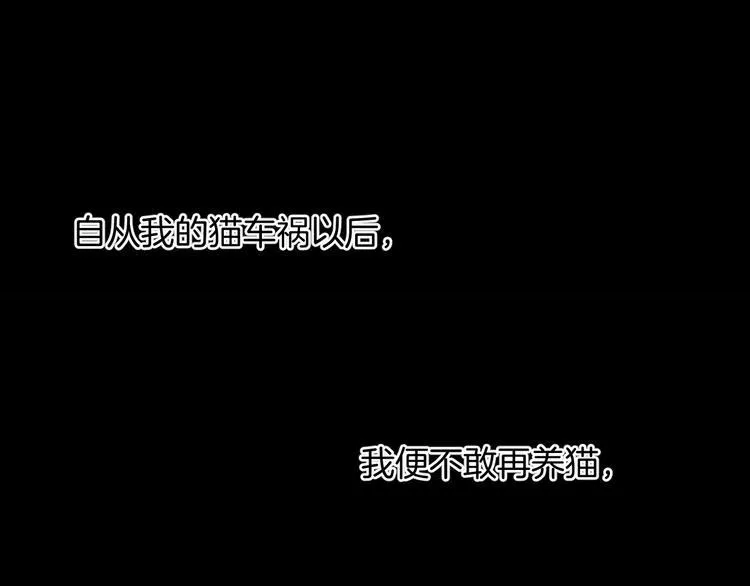 第6话 猫的报恩（1） 第19页