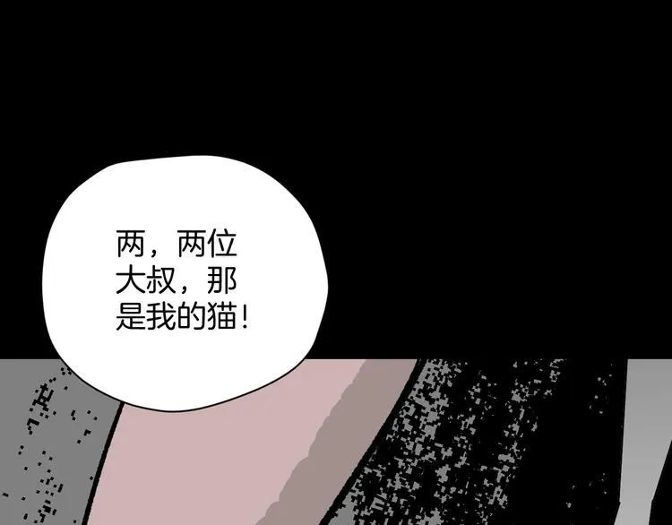 第7话 猫的报恩（2） 第3页