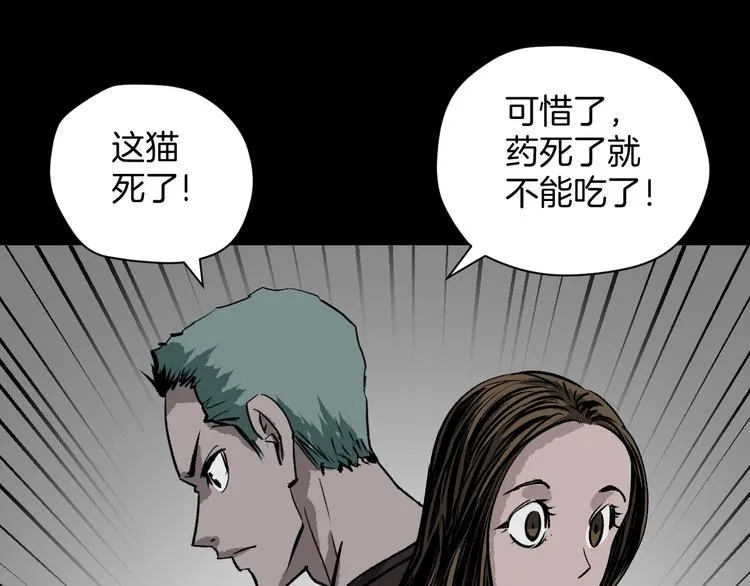 第8话 猫的报恩（3） 第9页