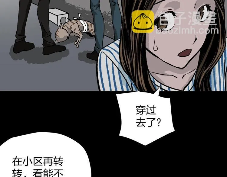 第8话 猫的报恩（3） 第13页