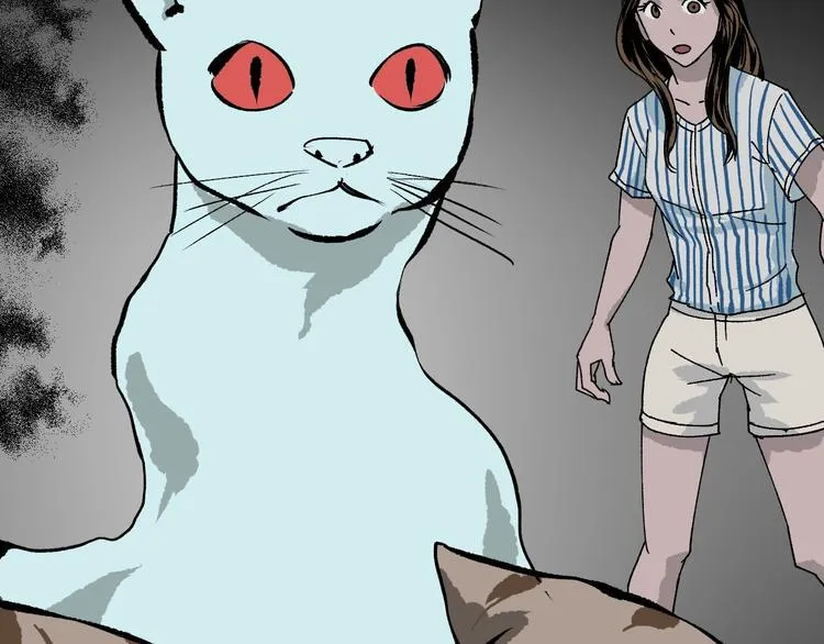 第8话 猫的报恩（3） 第27页