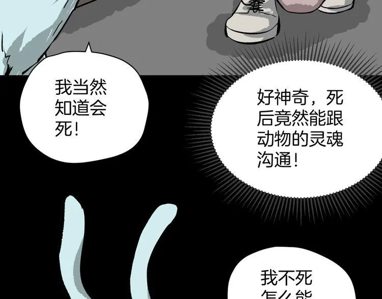 第8话 猫的报恩（3） 第31页