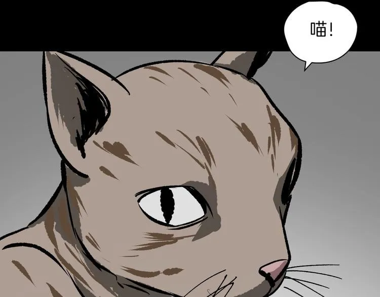 第8话 猫的报恩（3） 第72页