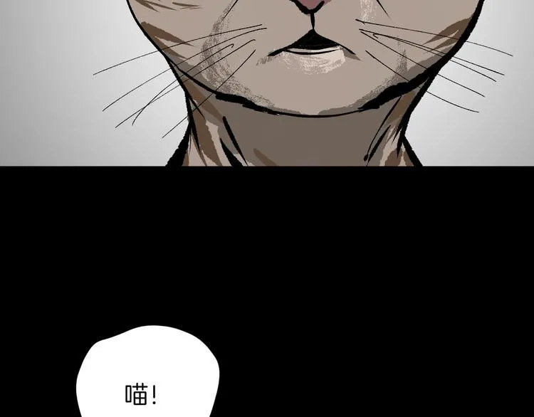 第8话 猫的报恩（3） 第111页