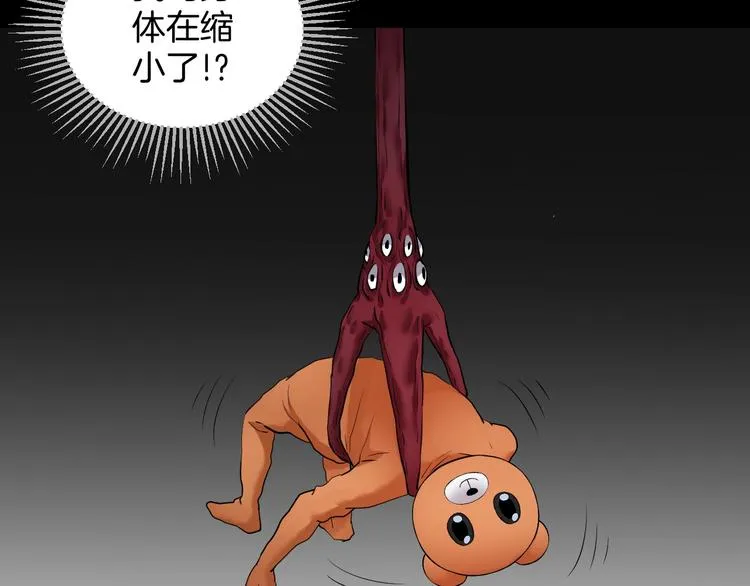 第25话 着熊装的人 第204页