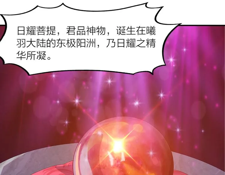 第3话 日耀菩提 第95页