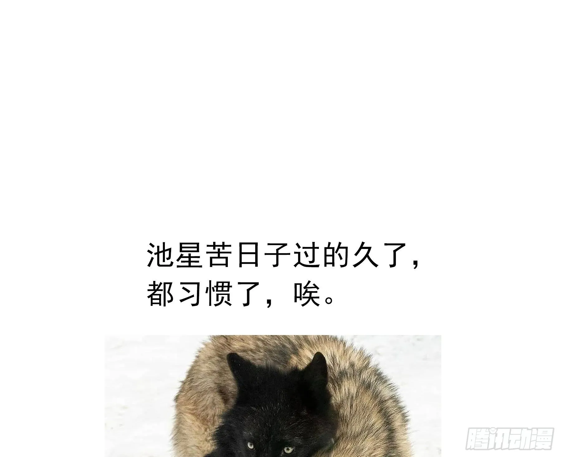 15. 心起涟漪 第50页