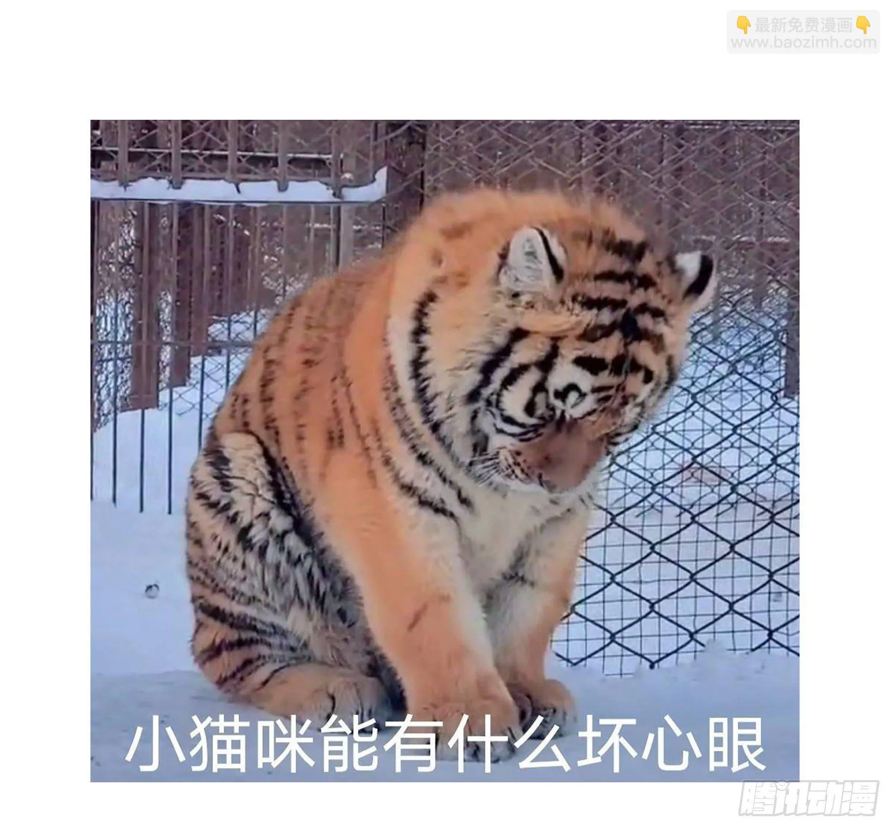 15. 心起涟漪 第54页
