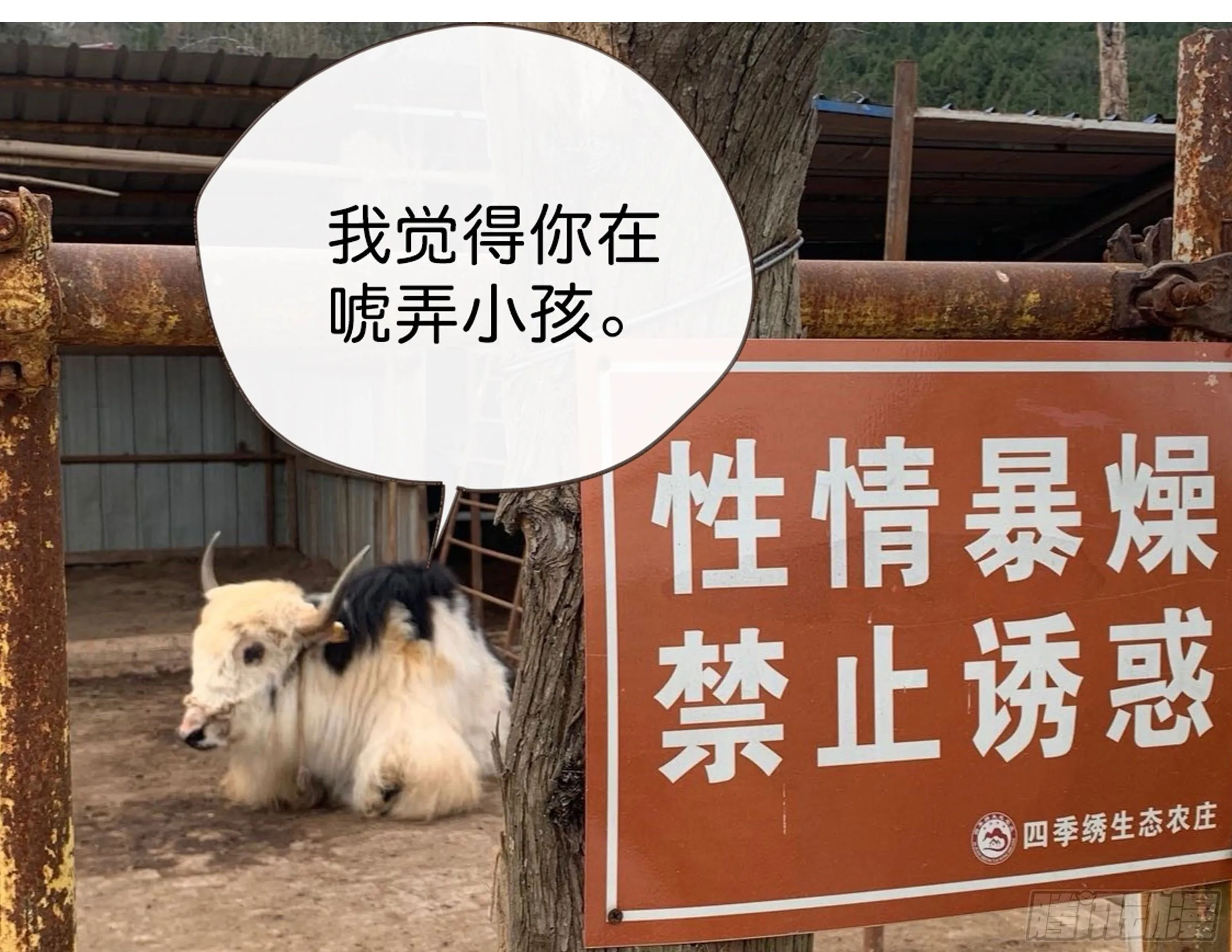 22. 狼狈 第60页