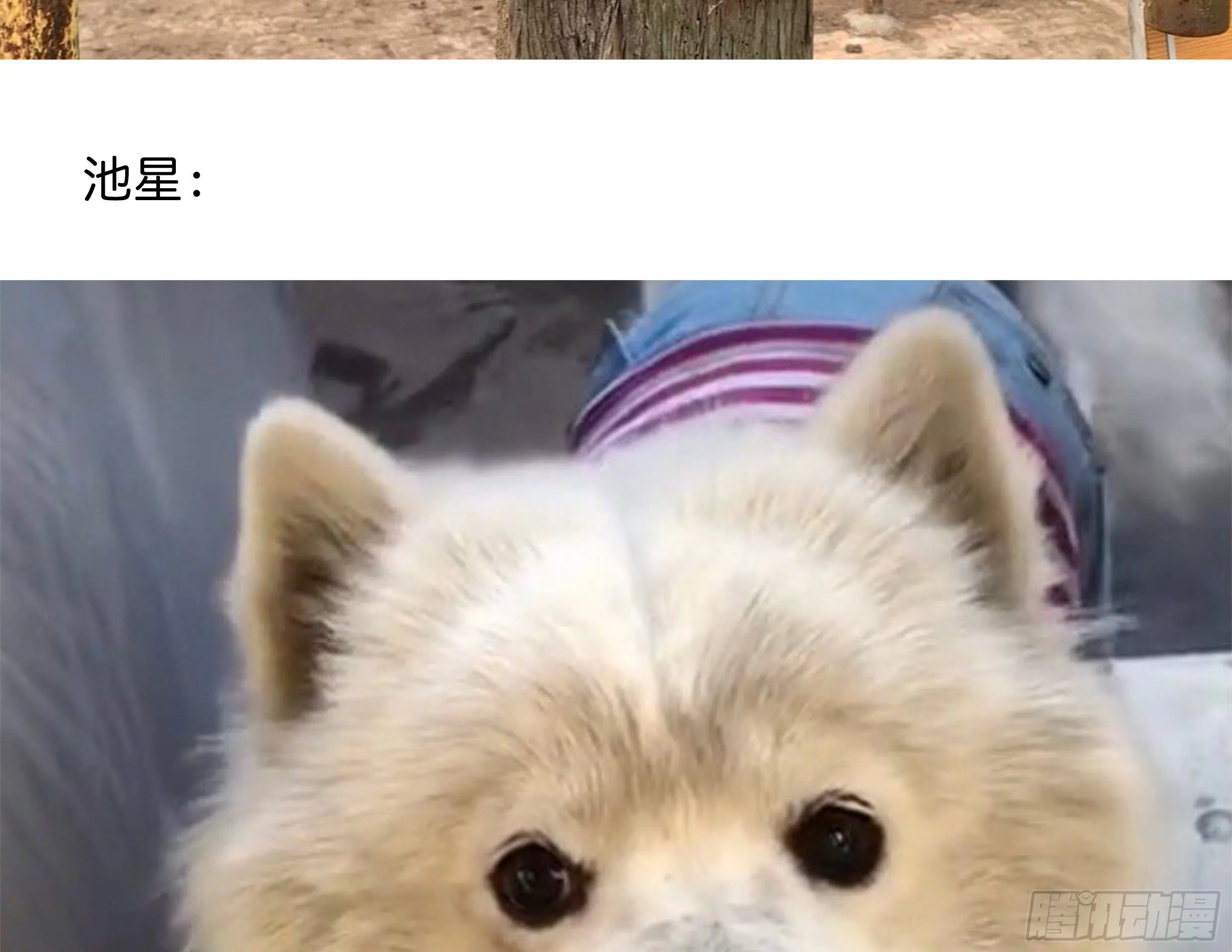 22. 狼狈 第61页