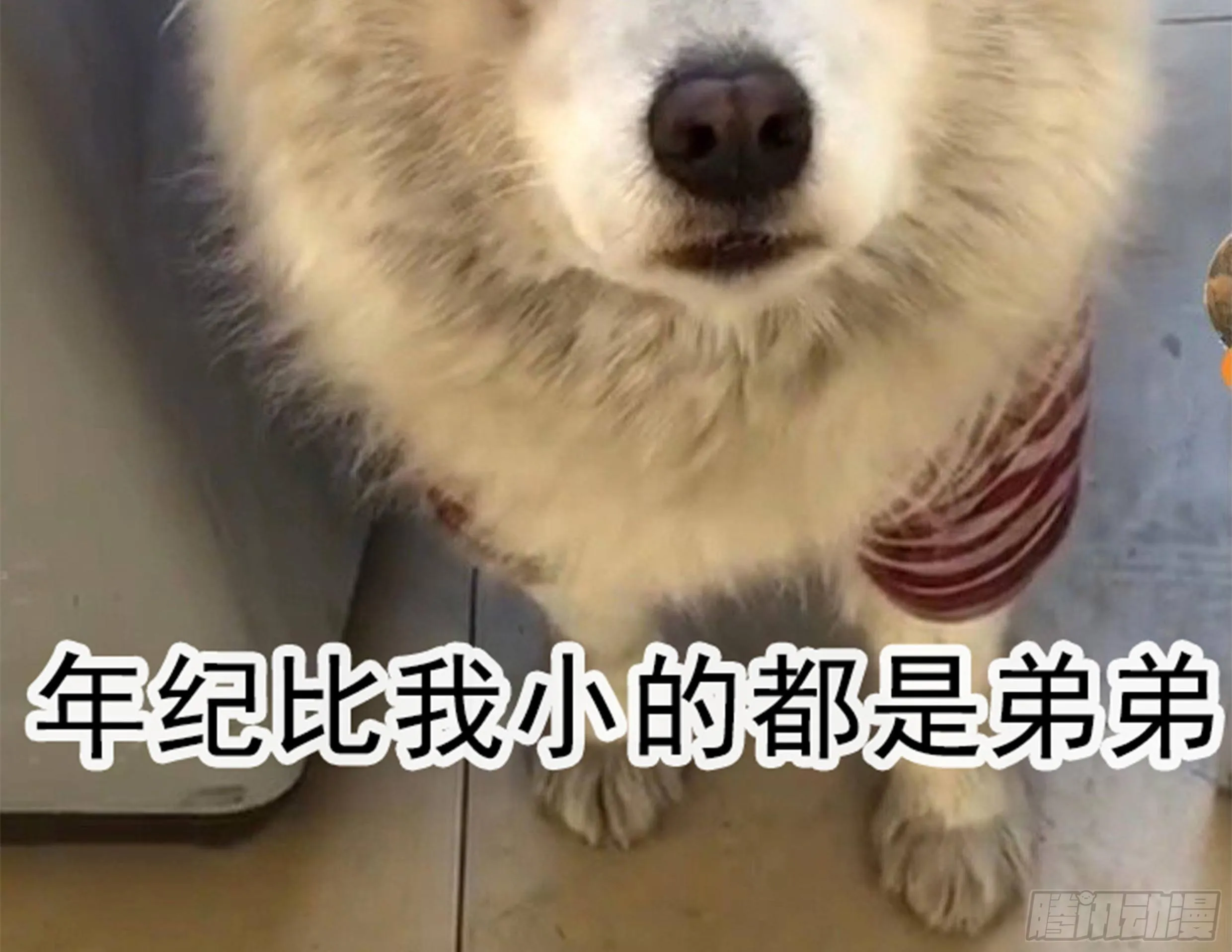 22. 狼狈 第62页