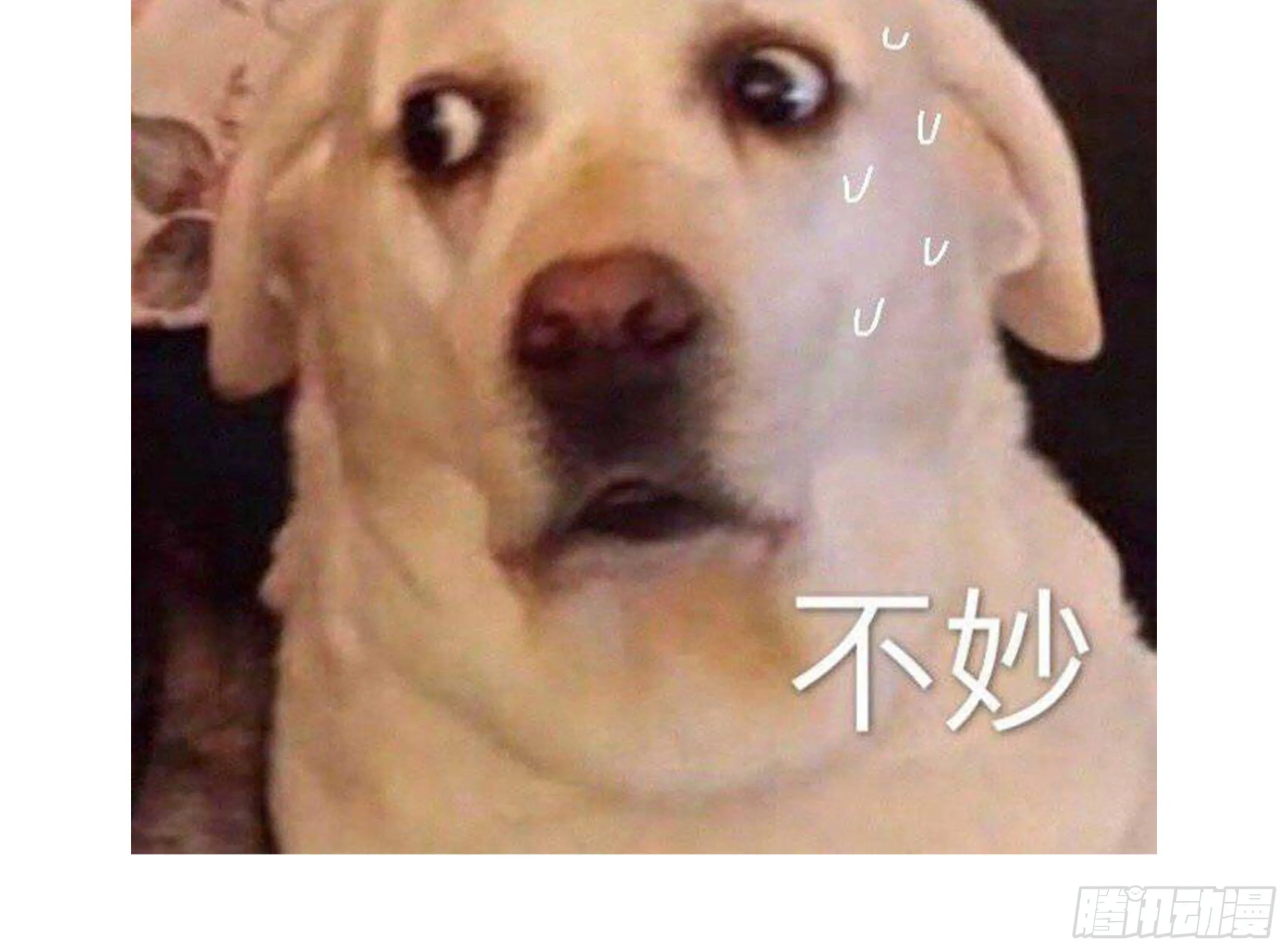 30. 敌意 第63页