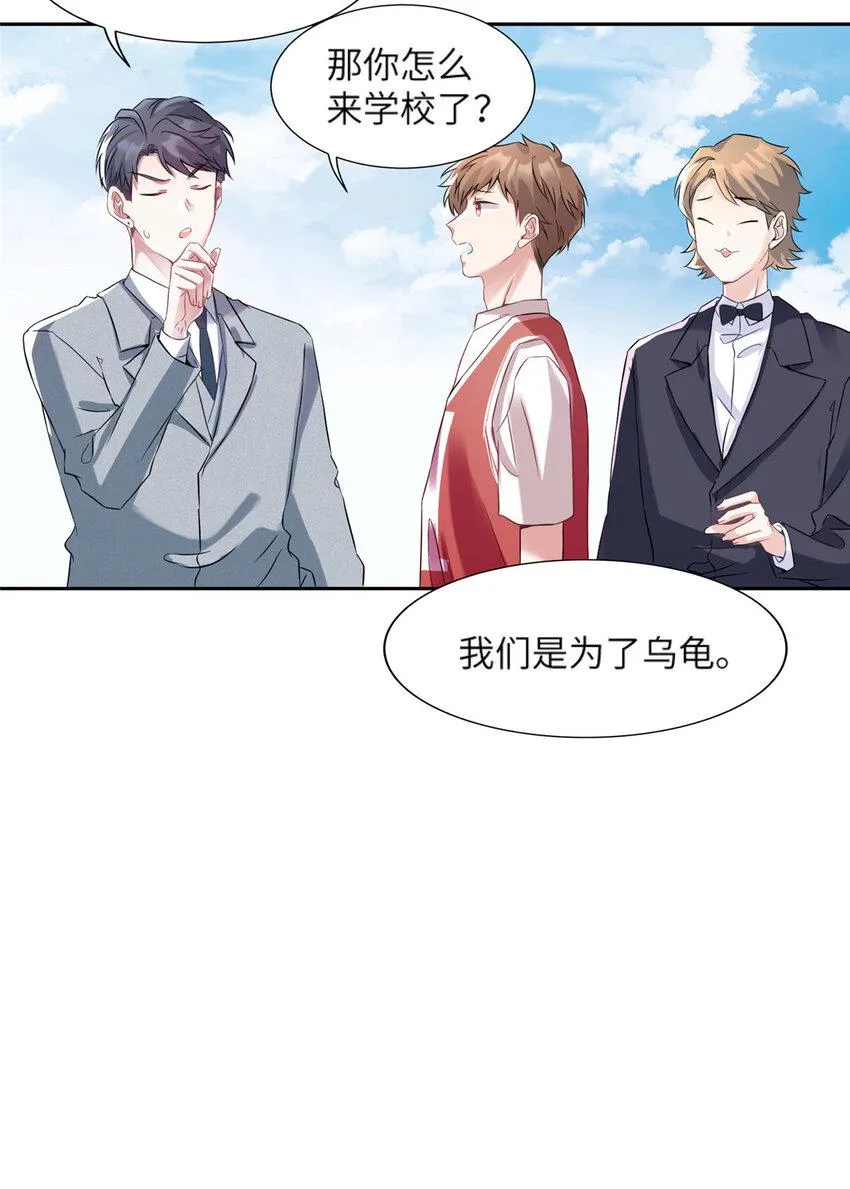 34 真的请来了乌龟？ 第8页