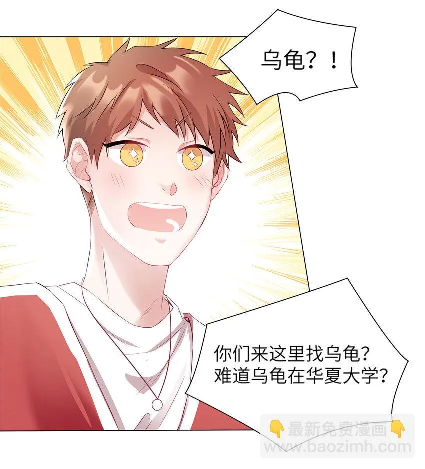 34 真的请来了乌龟？ 第9页