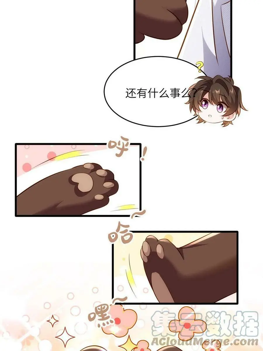 117 总裁小熊，在线发糖 第16页