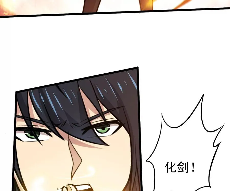 第349话 化剑！ 第74页