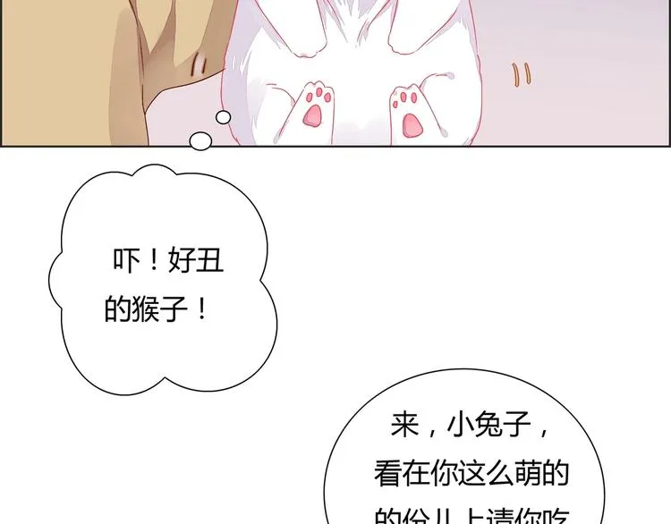 第1话 我被命运砸中了头 第20页
