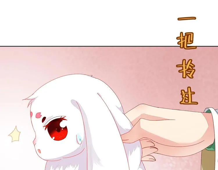 第11话 原来兔子急了真的会咬人 第49页