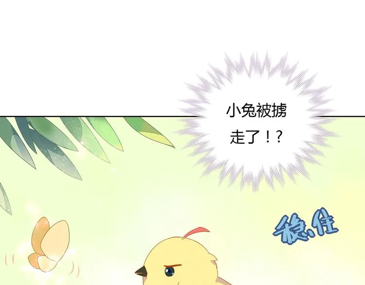 第13话 蛇能吃胡萝卜吗？ 第14页